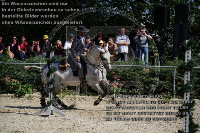 s_K3F03854.JPG
